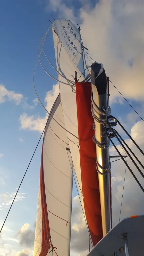Génois : Avec bande UV (rouge assortie au lazybag), sur enrouleur Facnor à sangle (2017) pas de surpattage possible.
